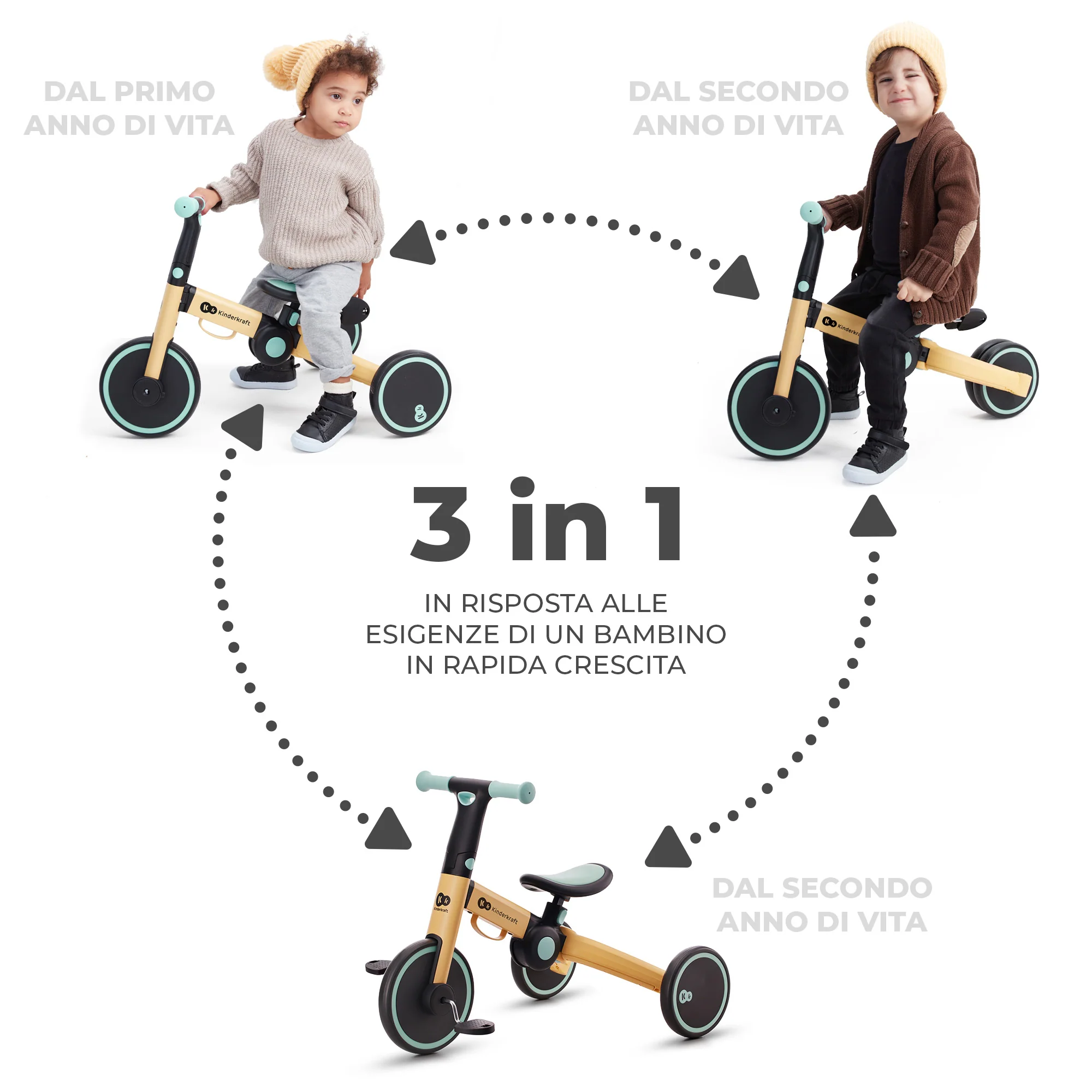 Miniatura 11