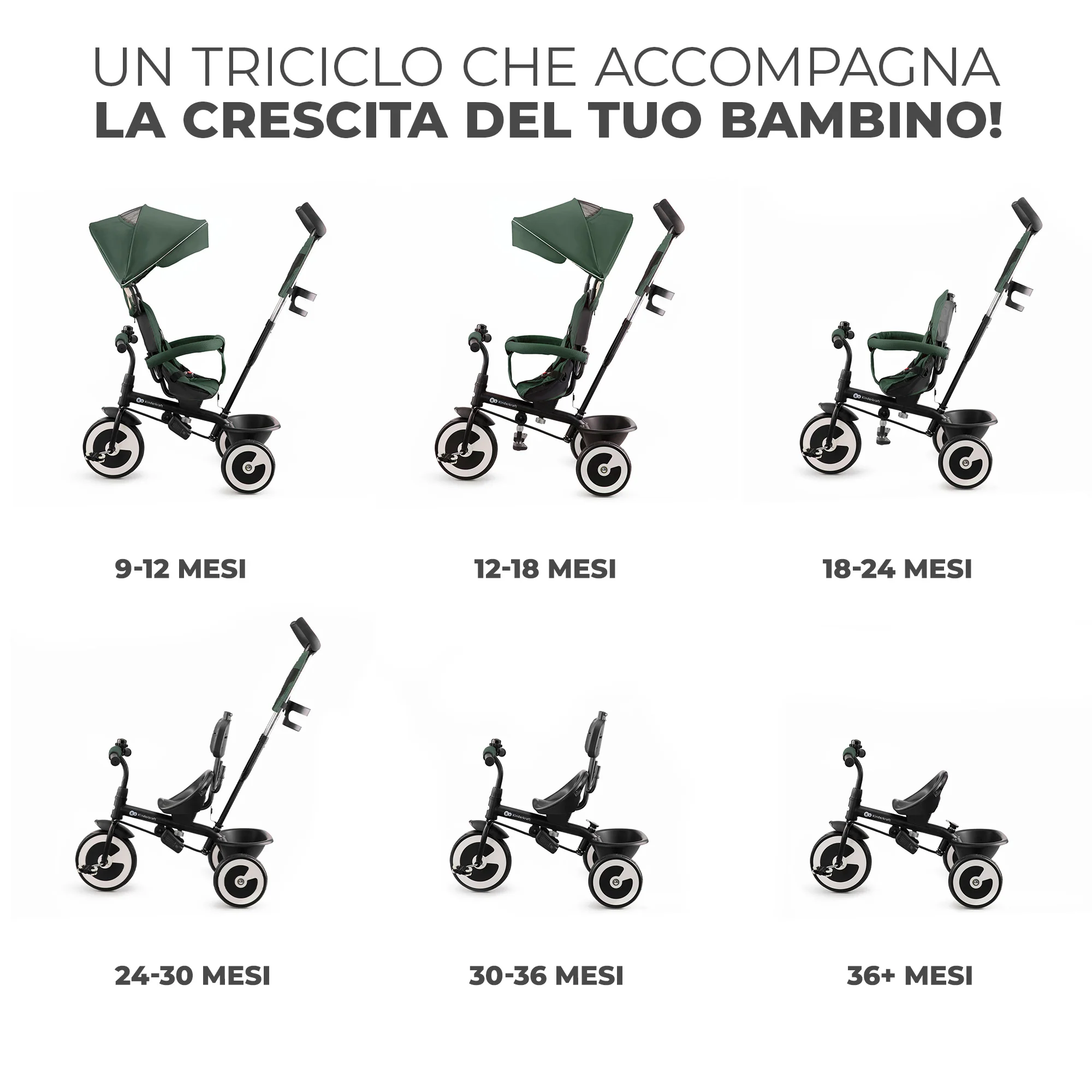 Miniatura 10