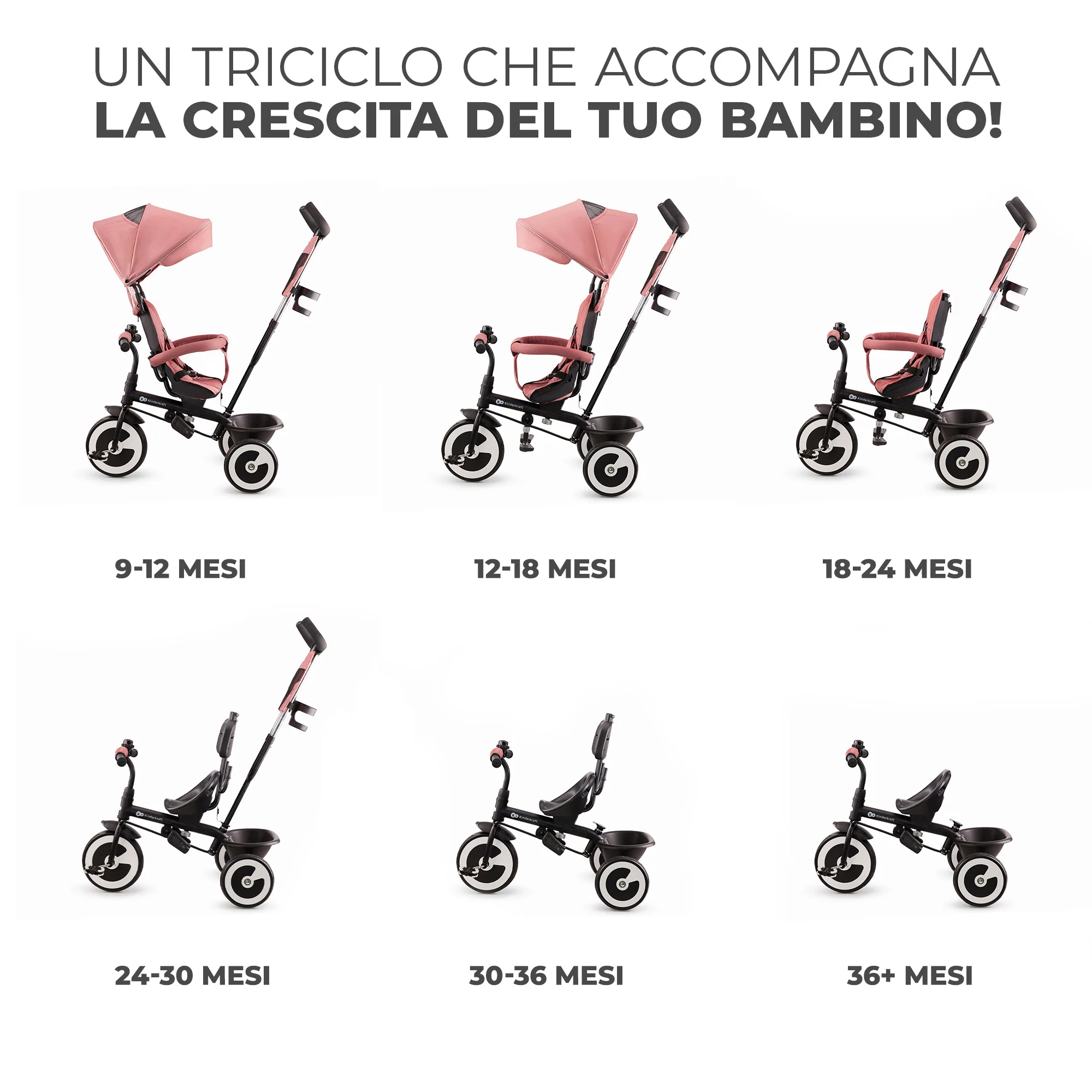 Miniatura 18
